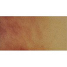 Autumn Leaf матова підлогова 30×14,8×1,1 см, Cerrad