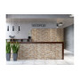 Kallio terra камінь фасадний 450x150x9мм (3737), Cerrad, Польща