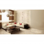 Плитка Zeus Ceramica Zwx13A 450x450x8