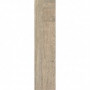 Плитка Zeus Ceramica Zsxlr3R