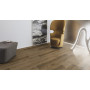 Ламінат Kaindl Classic Touch Standard Plank K4430 Дуб NATIVE AGED