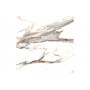 Calacatta Gold Rect. матова підлогова 119,7×119,7 см, Cerrad