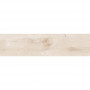 Плитка Zeus Керамика Zxxbl1Br Briccole Wood White 900x225