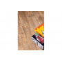 Celtis honey 600x175x8мм (5722-5175), Cerrad, Польща