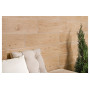 Setim desert 600x175x8мм (5274), Cerrad, Польща