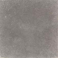 Плитка Zeus Ceramica x60Pz8R Gris
